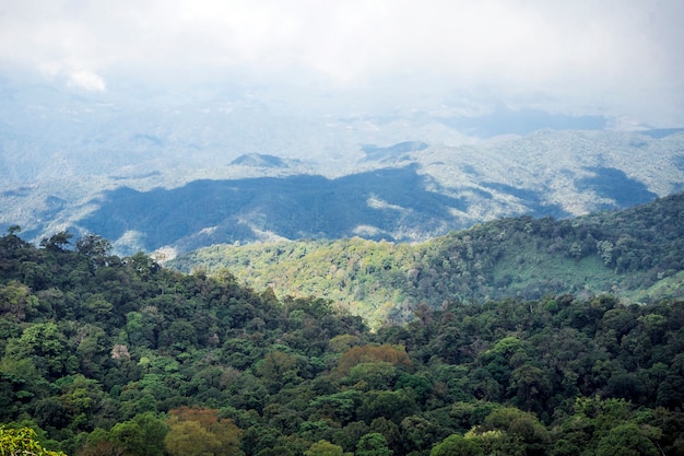 Vue sur la montagne avec la forêt et la brume, Chiang Mai, Thaïlande