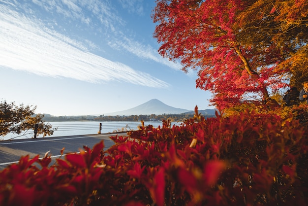 Vue sur la montagne Fuji. Le mont le plus célèbre du Japon