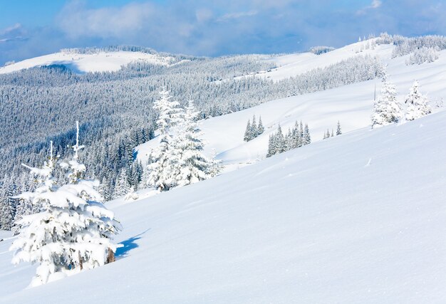 Vue sur la montagne d'hiver avec surface de neige à flanc de montagne à l'avant et forêt de sapins derrière.