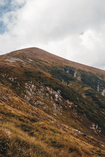 Vue sur la montagne Hoverla. Carpates.