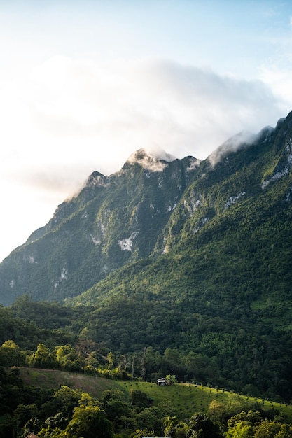 Vue sur la montagne le matin