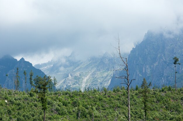 Vue sur la montagne nuageuse d'été des Hautes Tatras (Slovaquie)