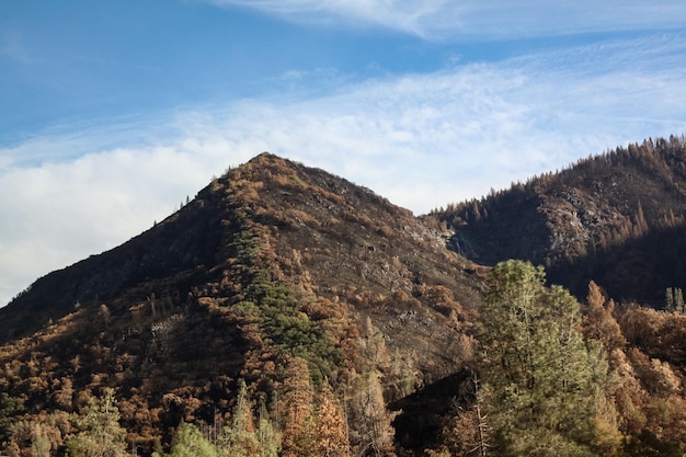 Vue de montagne de paysage au Nevada aux Etats-Unis