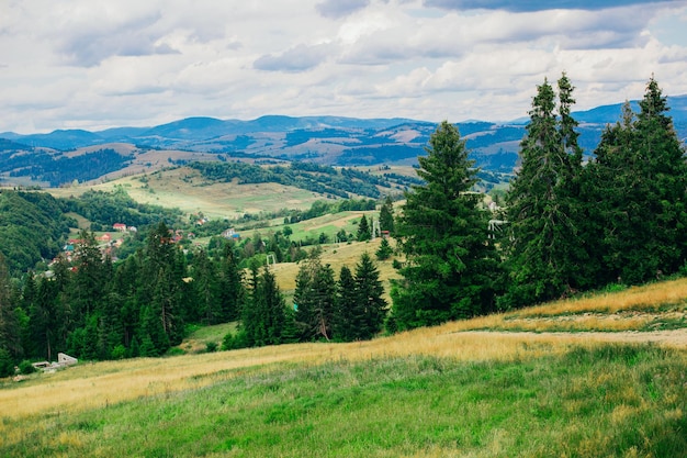 Vue sur la montagne paysage en été