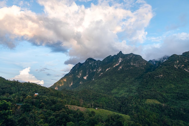 Vue sur la montagne verte à Chiang Dao