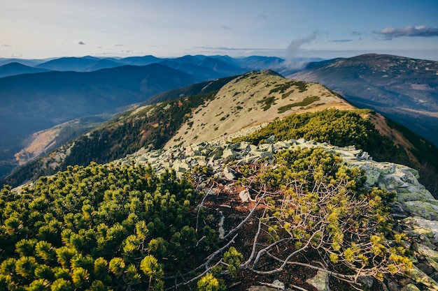 Une vue sur une montagne