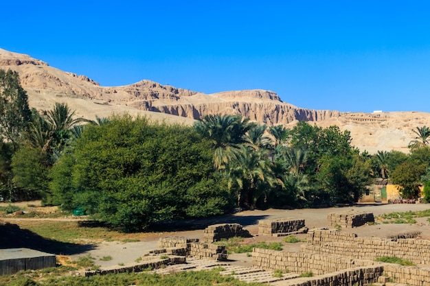 Vue sur les montagnes et les arbres verts à Louxor, Egypte