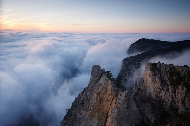 Vue des montagnes de brouillard brumeux - rocher avec pin