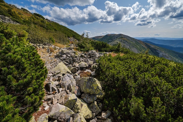 Vue sur les montagnes des Carpates d'été massif Stony Gorgany Ukraine