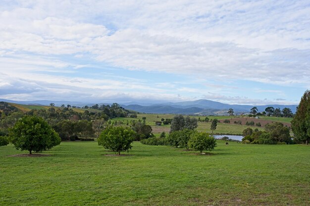 Une vue sur les montagnes depuis la ferme