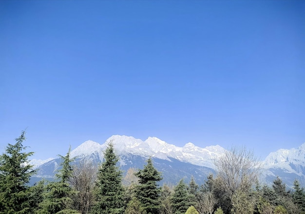 Une vue sur les montagnes depuis le parc
