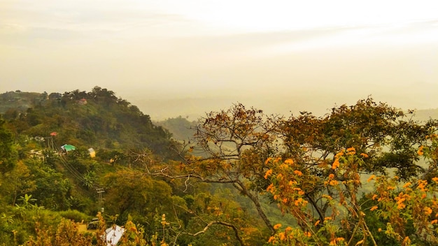 Une vue sur les montagnes du haut de la colline