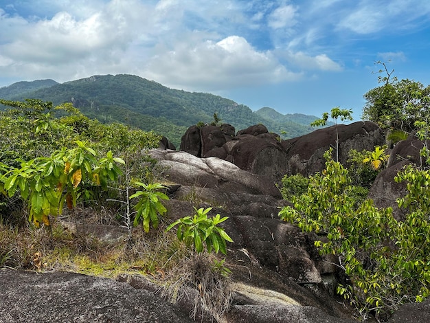 Une vue sur les montagnes du haut de la colline