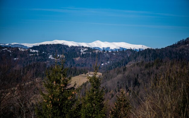 Une vue sur les montagnes du haut de la montagne