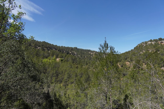 Une vue sur les montagnes du haut de la montagne