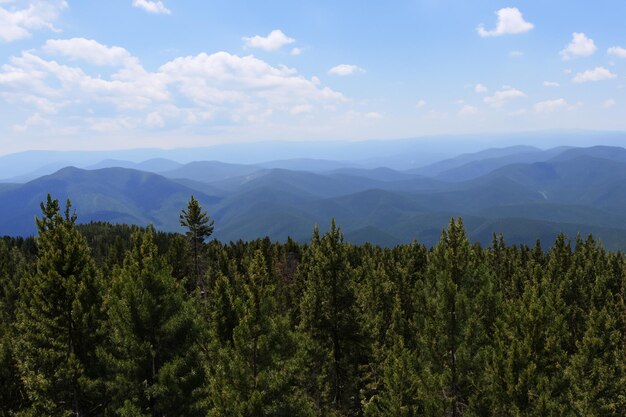 une vue sur les montagnes du haut