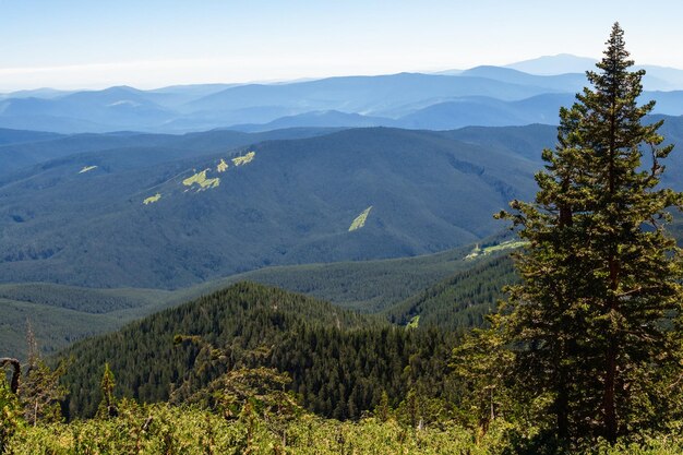 une vue sur les montagnes du haut