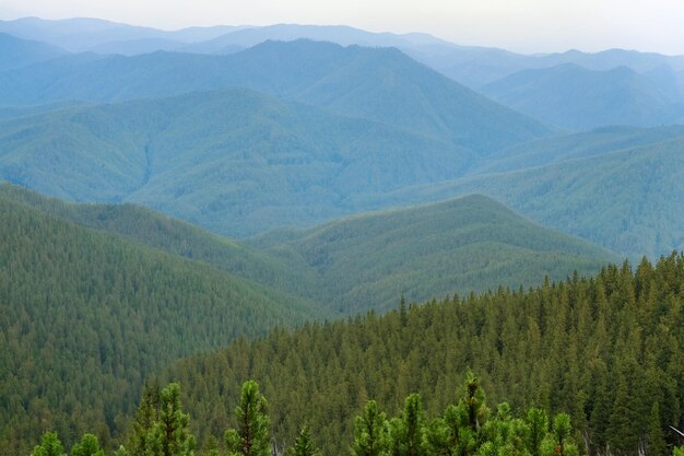 une vue sur les montagnes du haut