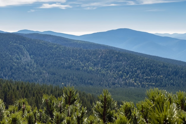 une vue sur les montagnes du haut