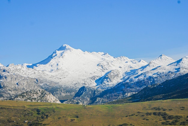 Vue sur les montagnes enneigées Prairies alpines