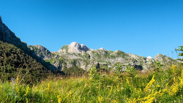 Photo vue sur les montagnes des pyrénées avec un ciel bleu