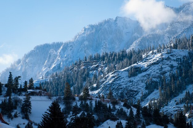 Une vue sur les montagnes de la région d'Ouray, Colorado.