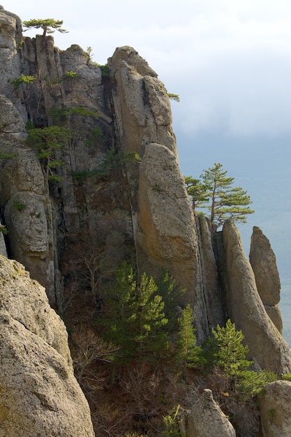 Vue sur les montagnes Rocheuses (vallée des fantômes près du mont Demerdzhi, Crimée, Ukraine)