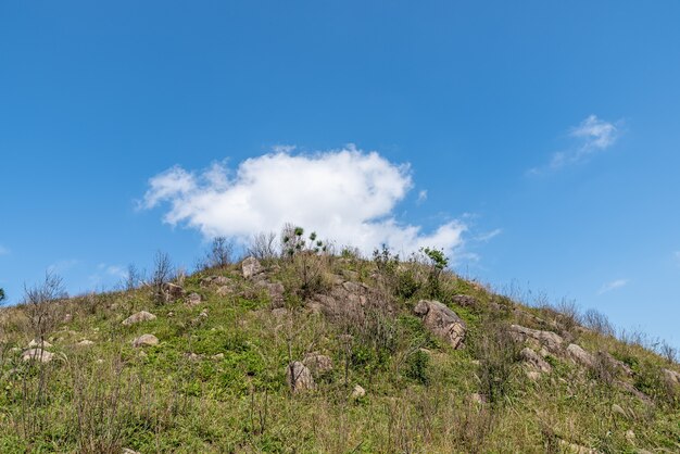 La vue sur les montagnes sous le ciel bleu