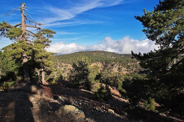 La vue sur les montagnes Troodos Chypre