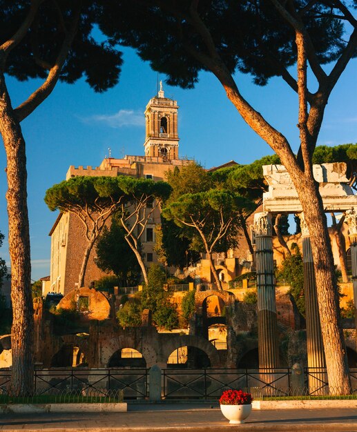 Vue des monuments de Rome le matin