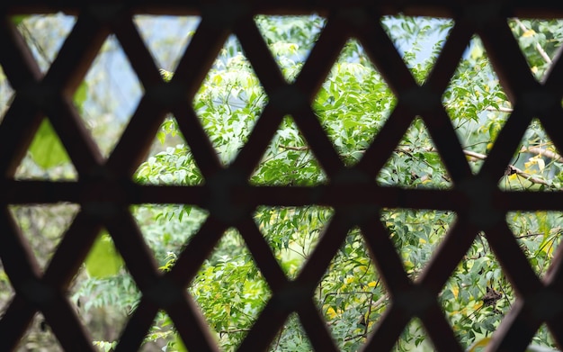 Vue sur la nature à travers un modèle de façade de mur de blocs de briques en forme de losange