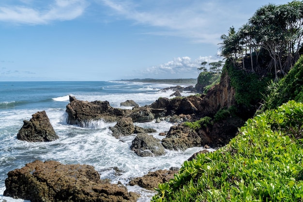 Vue naturelle de la côte en Indonésie quand le temps est ensoleillé