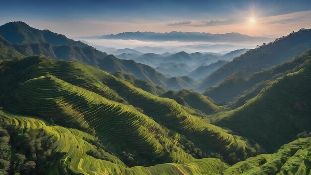 Vue naturelle de la montagne sur la province de Doi Chang Chiang Rai en Thaïlande