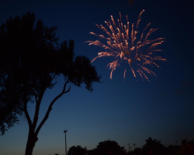 Vue nocturne des feux d'artifice sous un angle bas