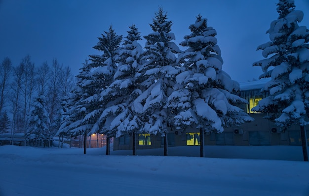 Vue nocturne d'hiver d'Hokkaido au Japon