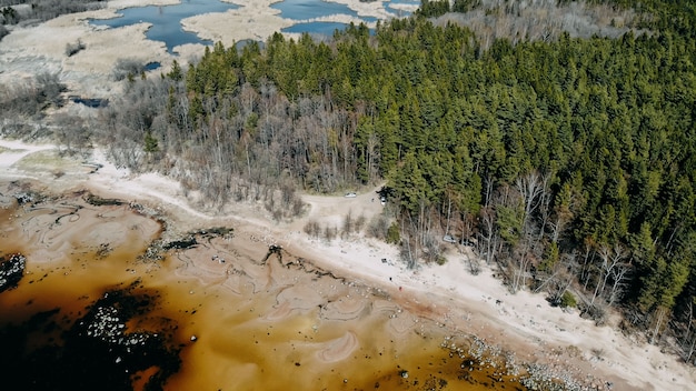 Vue sur l'océan depuis quadcopter, sable et rochers sur la côte de la mer. Vue de dessus de la rive de l'océan. Vue de dessus de forêt Pinetree de quadcopter. Jour de l'océan.