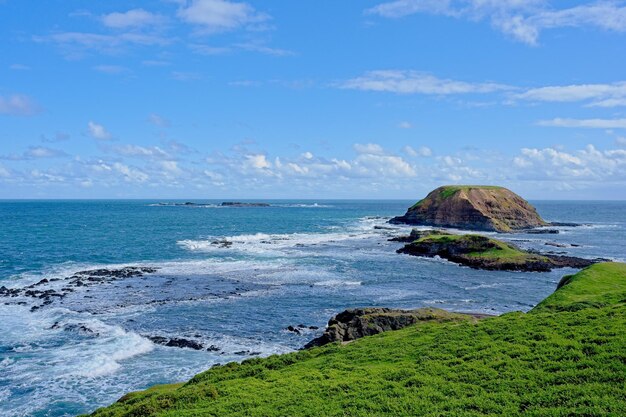 Une vue sur l'océan du haut de la falaise