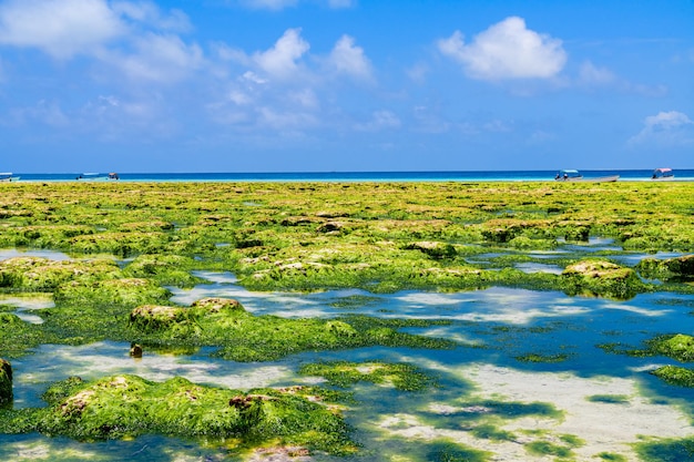 Vue sur l'océan Indien à l'île de Zanzibar