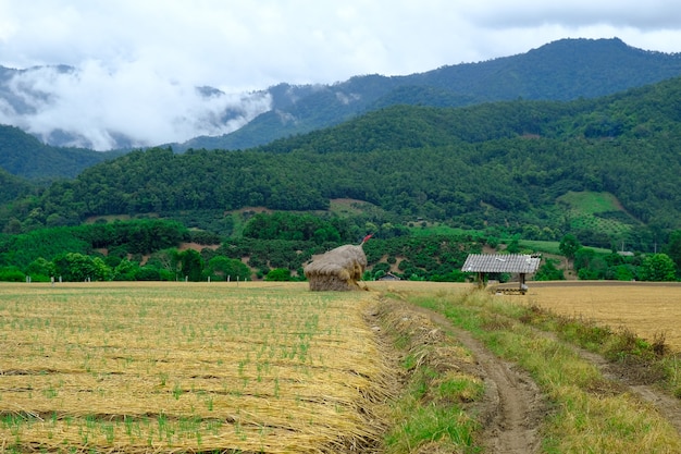 Photo vue, oignon, ferme, couvert, de, paille, à, nuageux, ciel, montagne, derrière