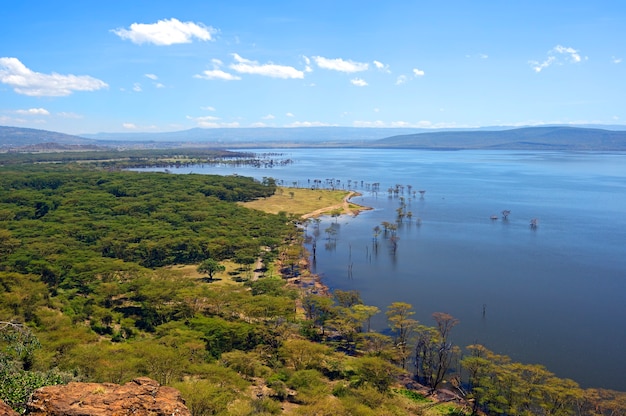 Vue paisible sur le lac Nakuru. Afrique. Kenya