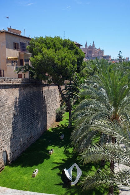 Vue Sur Palma De Majorque Où De Nombreux Arbres Et Buissons Verts Sont Représentés