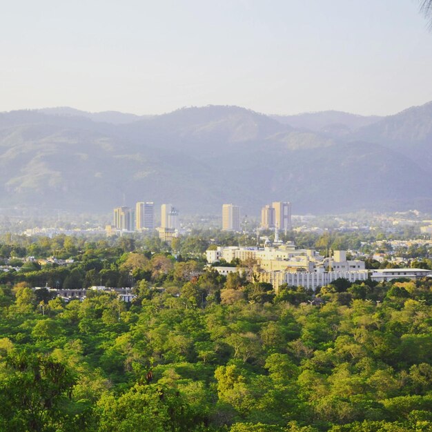 Vue panoramique des arbres et des bâtiments contre le ciel