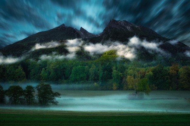 Vue panoramique des arbres contre le ciel