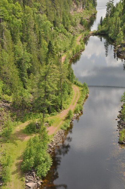 Vue panoramique des arbres et de l'herbe contre le ciel