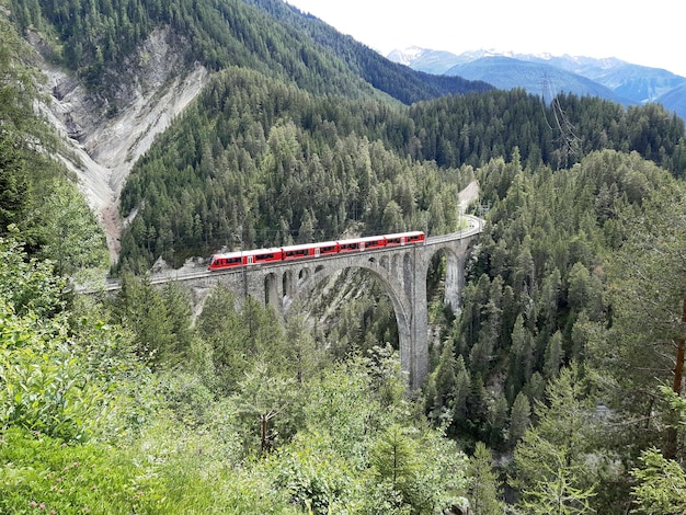 Photo vue panoramique des arbres et des montagnes