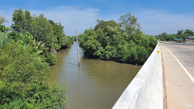 Vue panoramique des arbres et des plantes contre le ciel