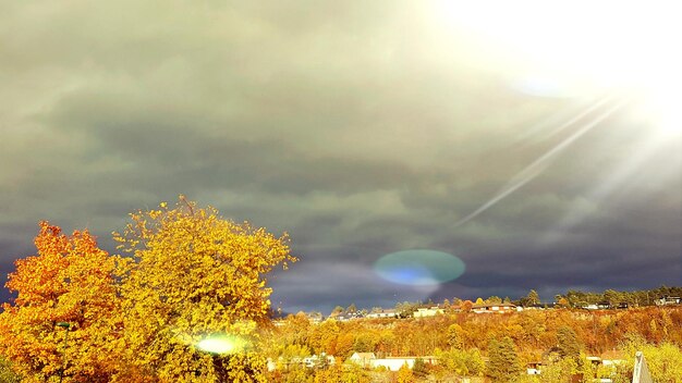 Photo vue panoramique de l'arc-en-ciel sur les arbres contre le ciel