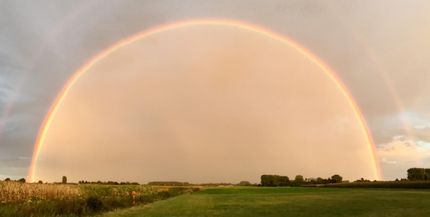 Vue panoramique de l'arc-en-ciel sur le paysage contre un ciel clair