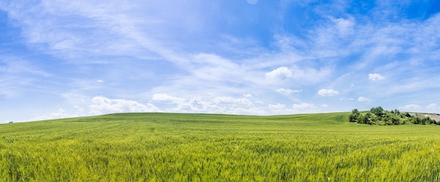 Vue panoramique de l'arrière-plan de la scène de la journée des terres agricoles