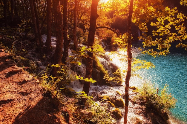 Vue panoramique autour de l'eau turquoise des lacs nationaux de Plitvice